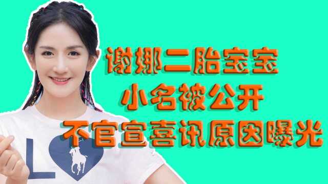 谢娜二胎宝宝小名被公开,与张杰不官宣喜讯原因曝光,考虑太周全