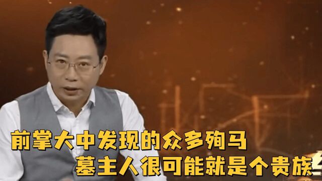 前掌大中发现的众多殉马,不仅让专家们猜测,墓主人很可能就是个贵族