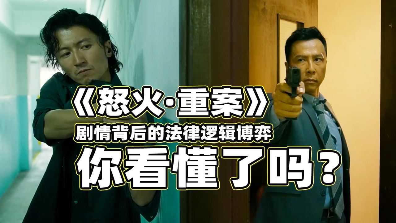 电影怒火重案剧情观感两套法律逻辑的博弈