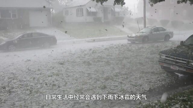 天上除了下雨下雪下冰雹,你见过天上下鱼的吗,是可以吃的鱼!