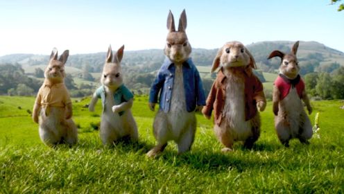 一群调皮的小兔兔，但兔兔又能有什么坏心眼呢《彼得兔》