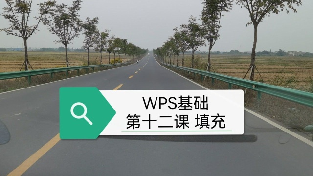 WPS表格 从零开始(第十二课 填充)