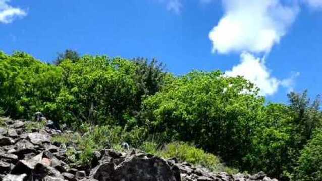 吉林敦化淌石流山风景