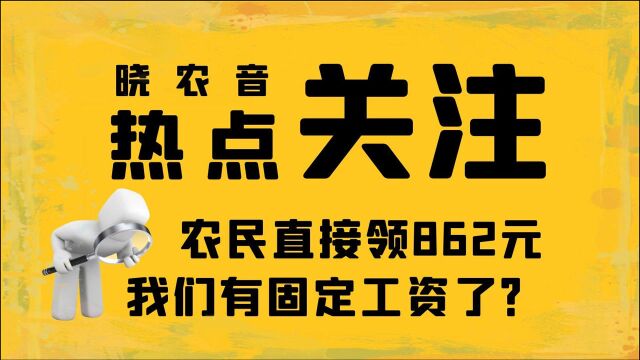 谣言:“农民有固定工资了,每人862元,中央 给拨款”?