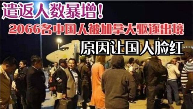 大量华人被加拿大遣返!人数高达2066人,驱逐出境的原因让人羞愧