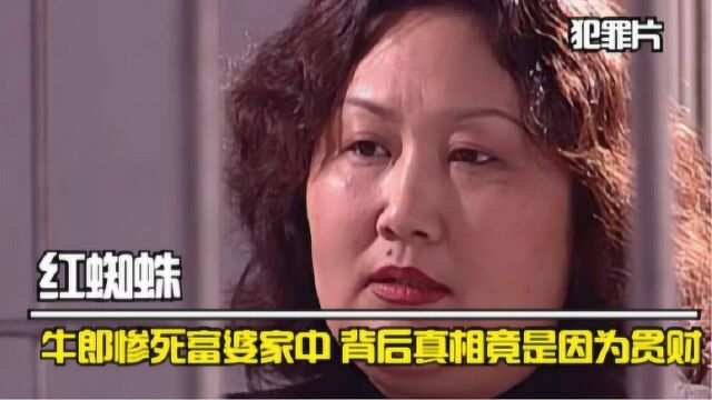 牛郎惨死富婆家中,以为情杀,背后真相竟是因为牛郎贪财