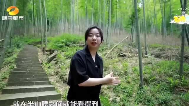 云阳山:相传黄帝之子少昊云阳氏的封地 有山有水避暑效果极佳!