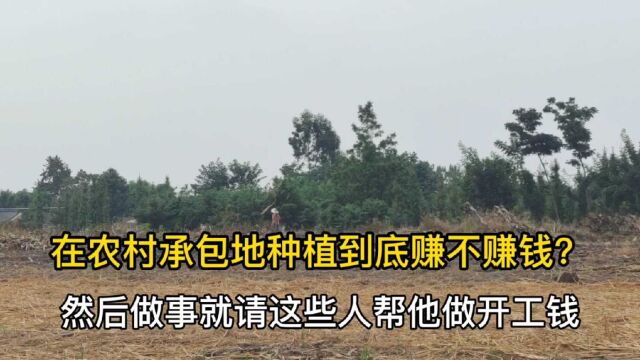 农村小伙大量承包别人不种的地,大面积种植蔬菜,到底赚不赚钱?