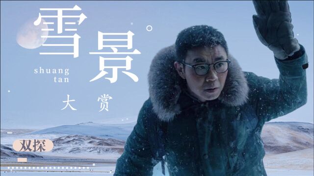 《双探》良心制作,北国雪景全程实景拍摄 #《双探》短视频征稿赛#