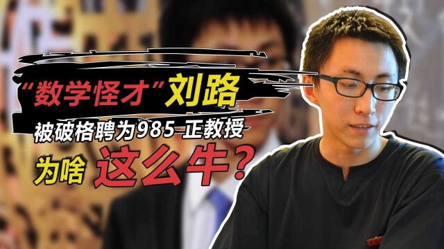 数学怪才”刘路,大三证明西塔潘猜想,22岁成破格升为985正教授