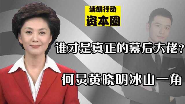 47位京圈大佬终于浮出水面?深扒娱圈资本局,何炅黄晓明冰山一角