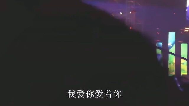 经典歌曲《老鼠爱大米》现场带字幕,演唱:杨臣刚