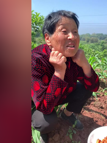 袁婆:这样的酒席,我怎么能不来.