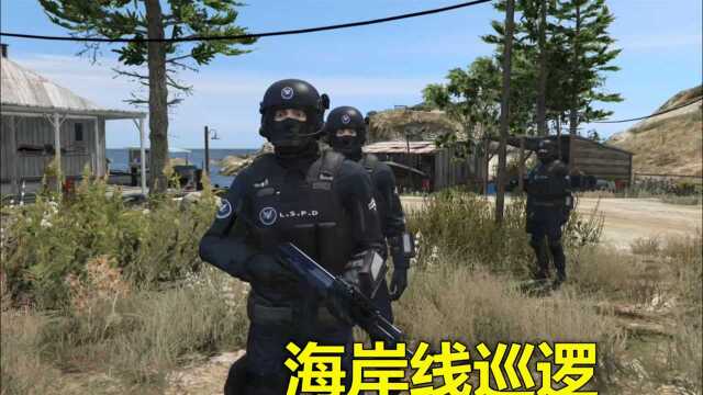 特警小队模拟器 海岸线巡逻 发现有人私自造武器 全部逮捕