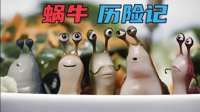 5只蜗牛来到人类厨房,结果死得一只比一只惨,太可怜了#电影hot短视频