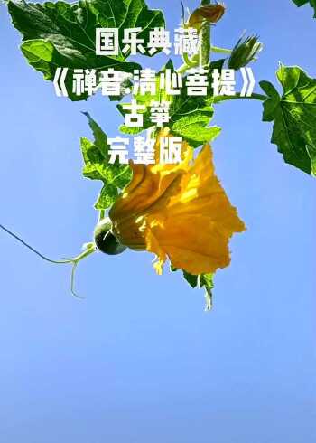 国乐典藏禅音清心菩提古筝完整版