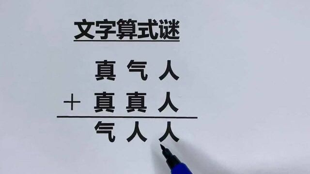 小学数学:文字谜语