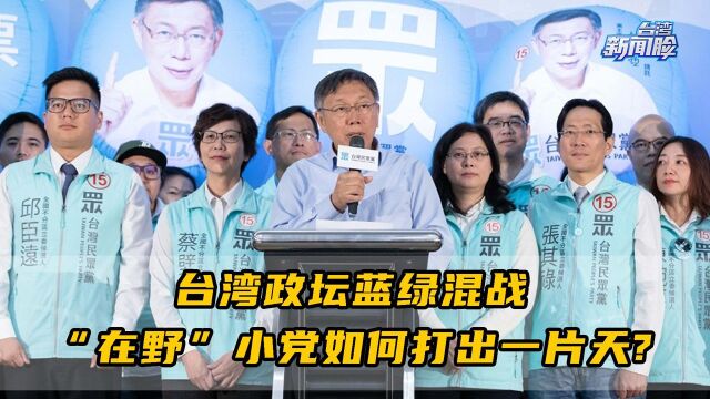 台湾政坛蓝绿混战,“在野”小党如何打出一片天?