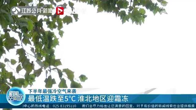 江苏急速入秋!最低温跌至5℃ 淮北地区迎霜冻