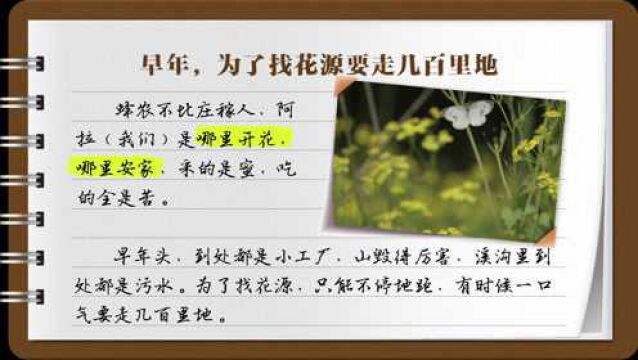 说说我家的小康故事48:日子比蜜甜