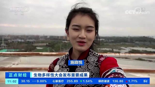 生物多样性大会上,这位哈尼族女孩把家乡介绍给全世界