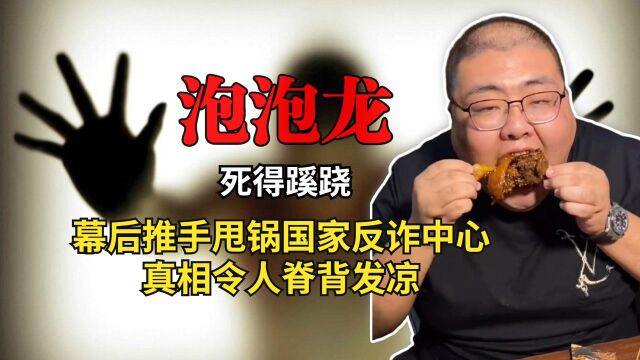 网红泡泡龙之死另有隐情?幕后推手甩锅国家反诈中心,背后真相令人脊背发凉