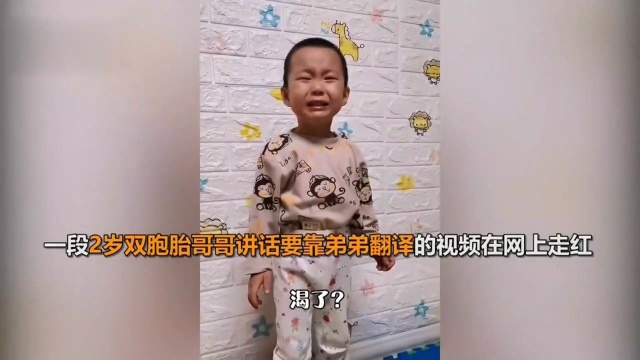 2岁双胞胎哥哥高配出厂,交流靠弟弟婴语翻译母语给爸爸听