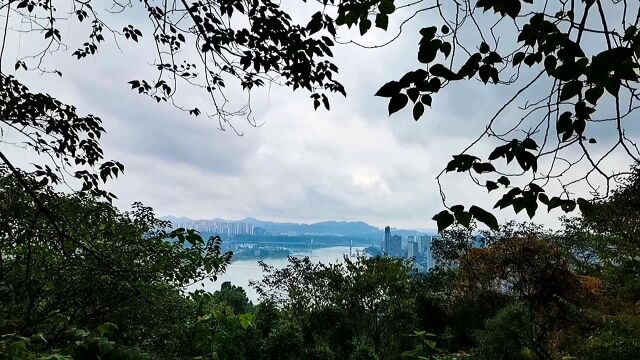 《一路耍ⷩš手拍》 在这里,可以看到泸州城全景,但是它不对外开放了