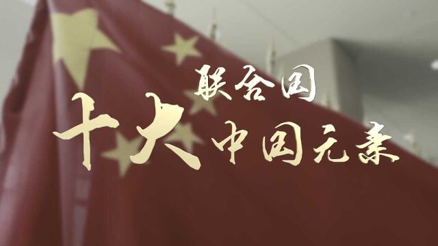 独家vlog!新华社记者为你细数联合国十大“中国元素”