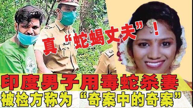 印度“蛇蝎丈夫”判了!印度男子毒蛇杀妻,被判两个无期