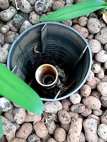 鱼菜共生系统虹吸实物图