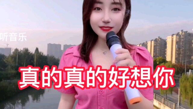 美女唱情歌《真的真的好想你》,太好听了