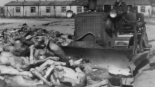 纳粹死亡集中营震撼影像，出现最多的画面，全是成堆的尸体