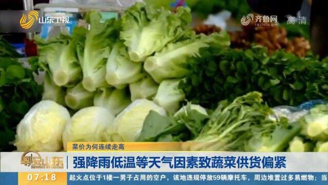 近期菜价为何连续走高?带你探访蔬菜之乡寿光,专家给出答案