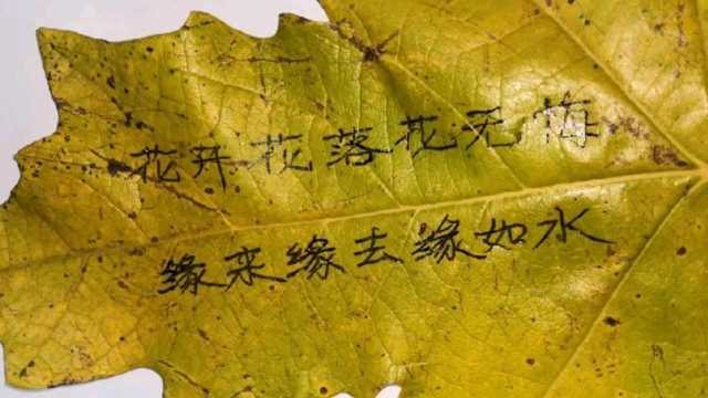 李清照一首借花自喻的诗《残花》