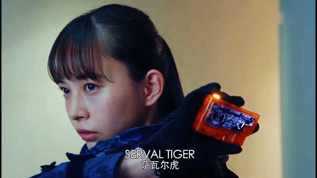 假面骑士零一外传:刃姐变身升级萨瓦尔虎形态