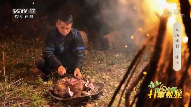 将猪肉直接放火堆里烤,是彝族人流传至今的饮食习惯