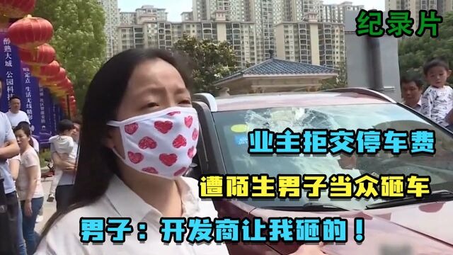 女业主开车被堵,遭陌生男子无故打砸,男子叫嚣:开发商让我砸的