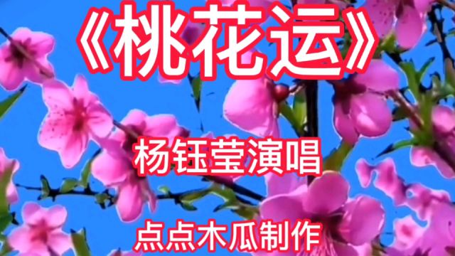 《桃花运》杨钰莹演唱