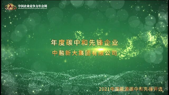 2021年度碳中和先锋企业中融新大集团有限公司