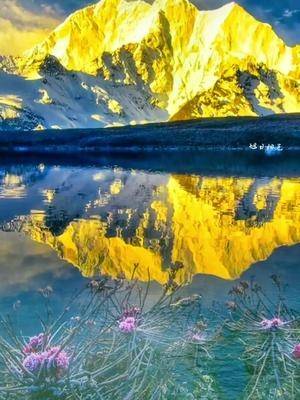 最美日照金山#西藏冒险王 #冰川 #西藏美景 #最美景色 #日照金山