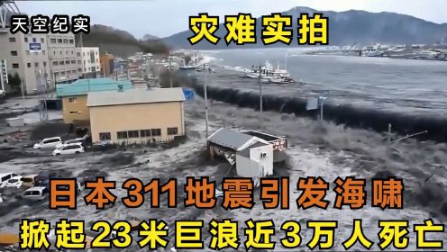 日本311地震实拍视频，9.1级地震引发海啸，灾难现场如世界末日