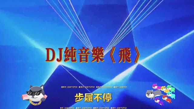 DJ纯音乐《飞》