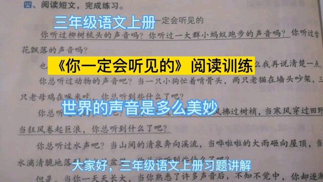 三年级语文上册,《你一定会听见的》阅读训练,世界的声音是多么美妙