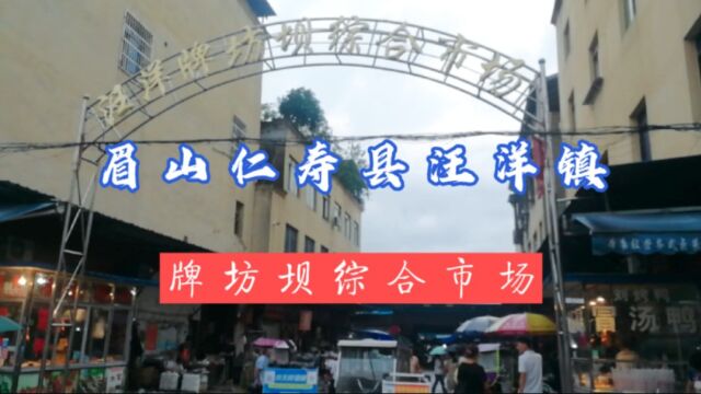 实拍,眉山市仁寿县汪洋镇,牌坊坝综合市场