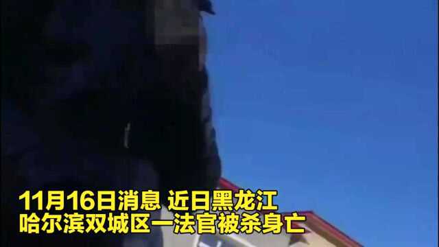 恶劣!哈尔滨一法官被杀身亡,行凶者疑为一名打离婚官司的男子