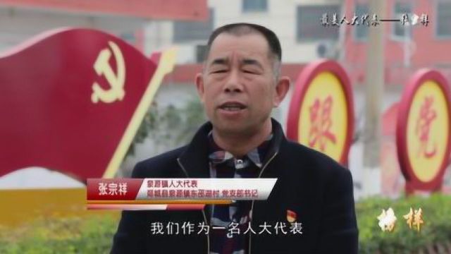 榜样——最美人大代表张宗祥