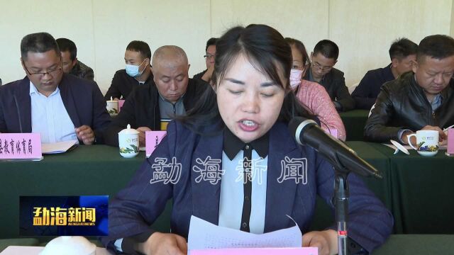 勐海县履行教育职责省级督导评估汇报反馈会召开