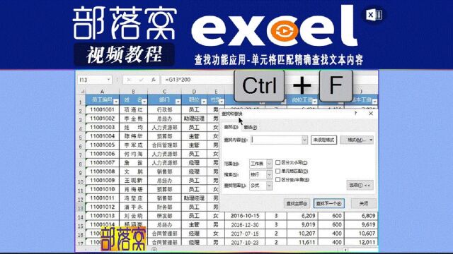 excel查找功能应用视频:单元格匹配精确查找文本内容