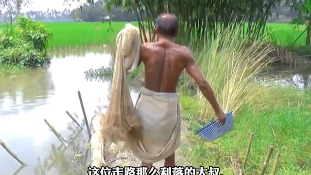 有五个老婆的捕鱼王